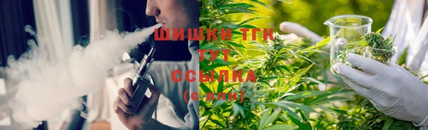 дмт Богданович