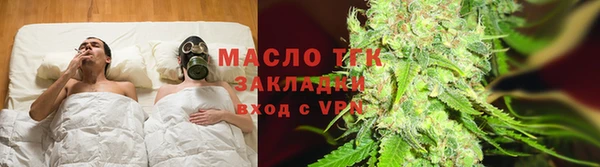 дмт Богданович