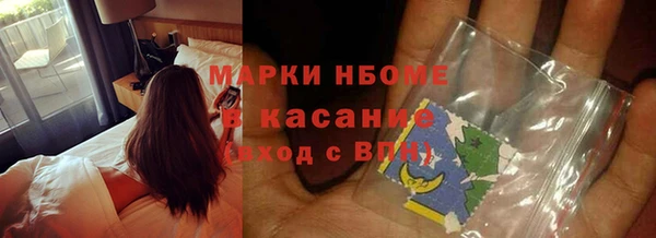 стаф Богородицк