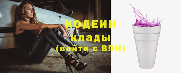 дмт Богданович