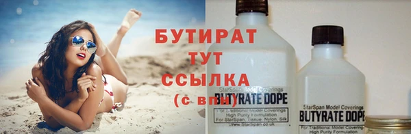 дмт Богданович