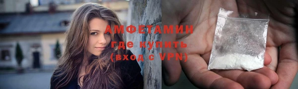 дмт Богданович