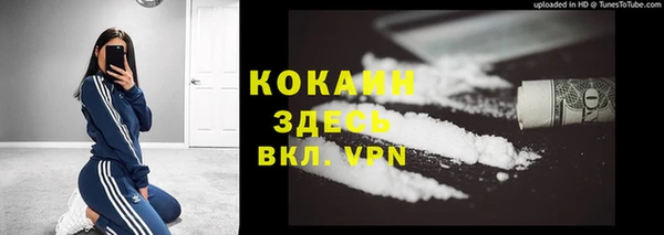 стаф Богородицк