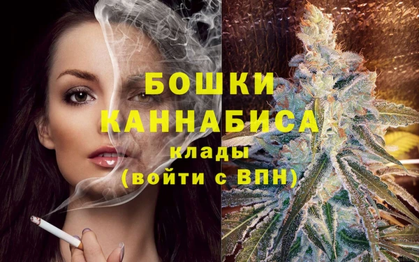 дмт Богданович