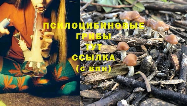 дмт Богданович