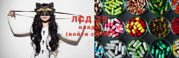 стаф Богородицк
